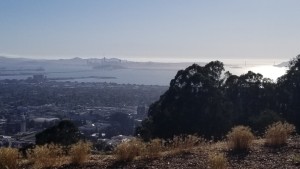 San Francisco: A View from Berkeley