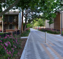 Another view of the Pioneer Pathway, former Lover's Lane